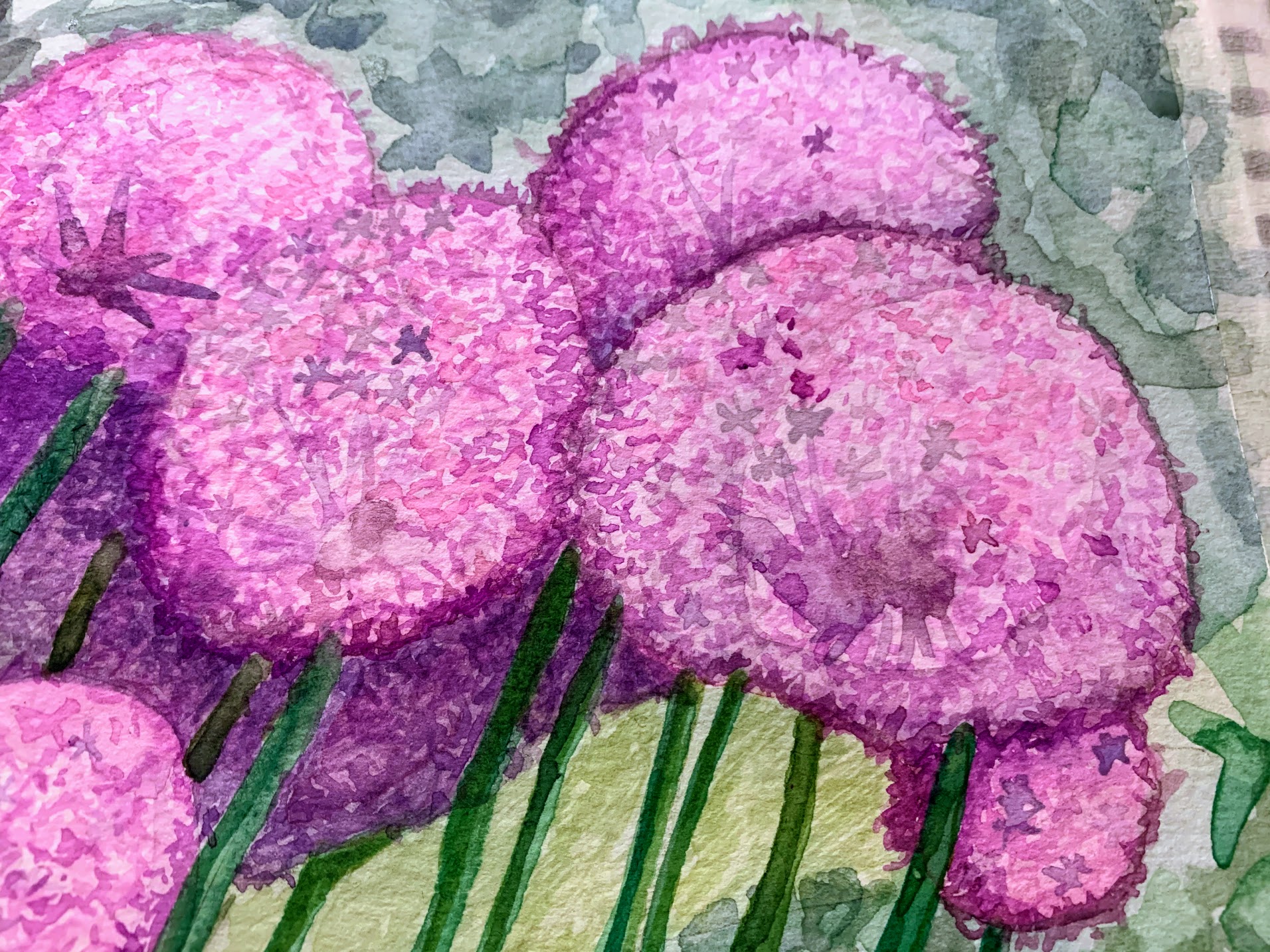 Watercolor Allium, Part 2